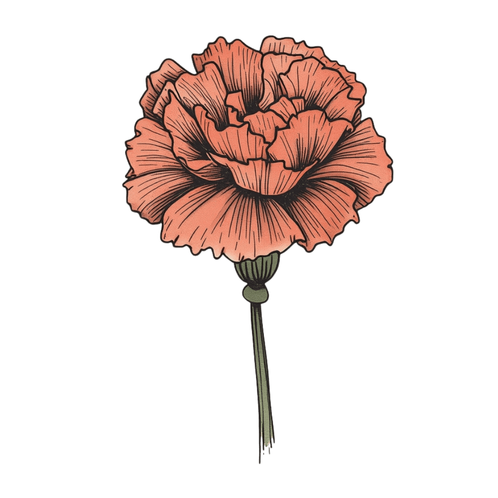 Single carnation tattoo design