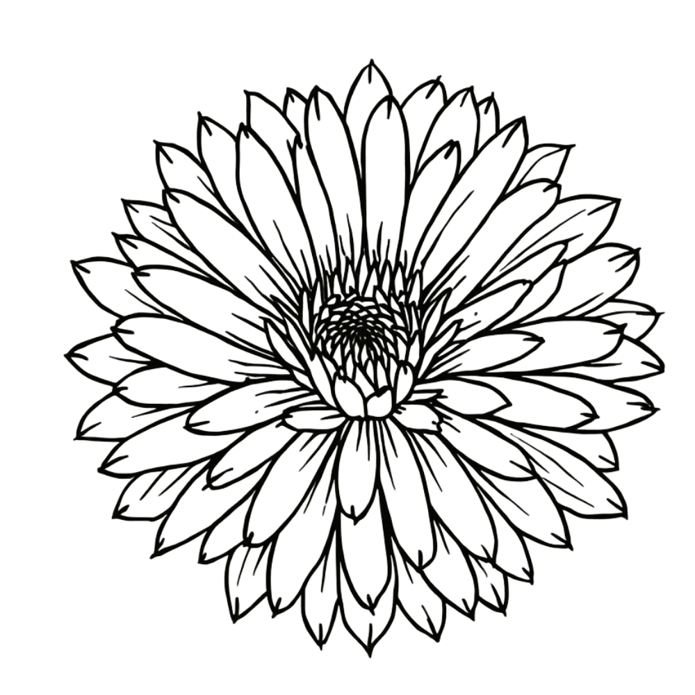 Fine-line chrysanthemum tattoo design