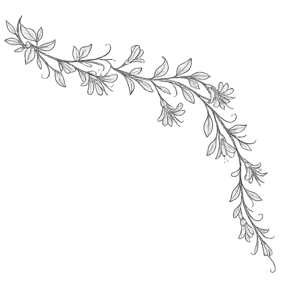Honeysuckle vine tattoo design