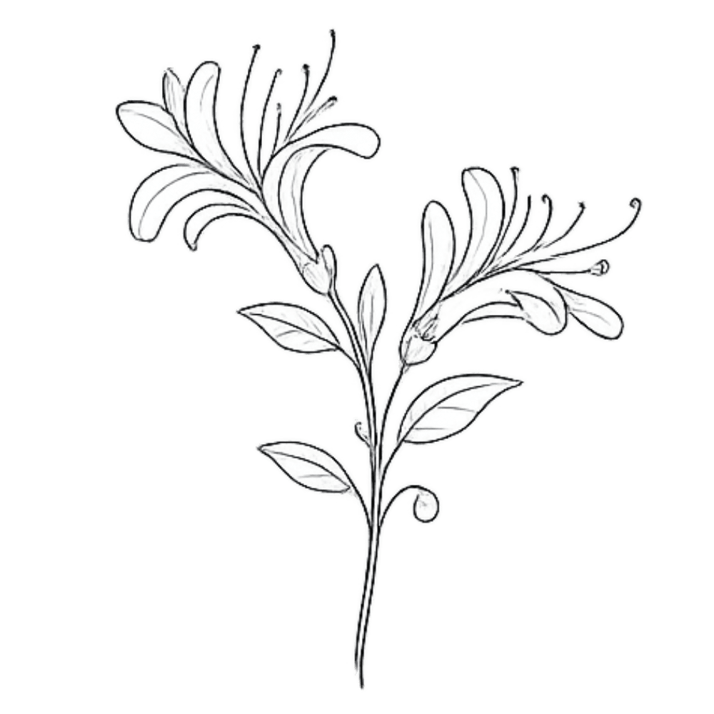 Single honeysuckle bloom tattoo design