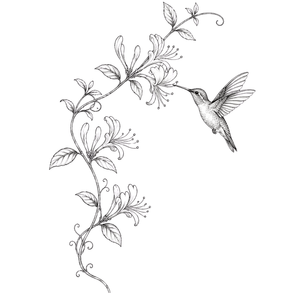 Honeysuckle and hummingbird tattoo design