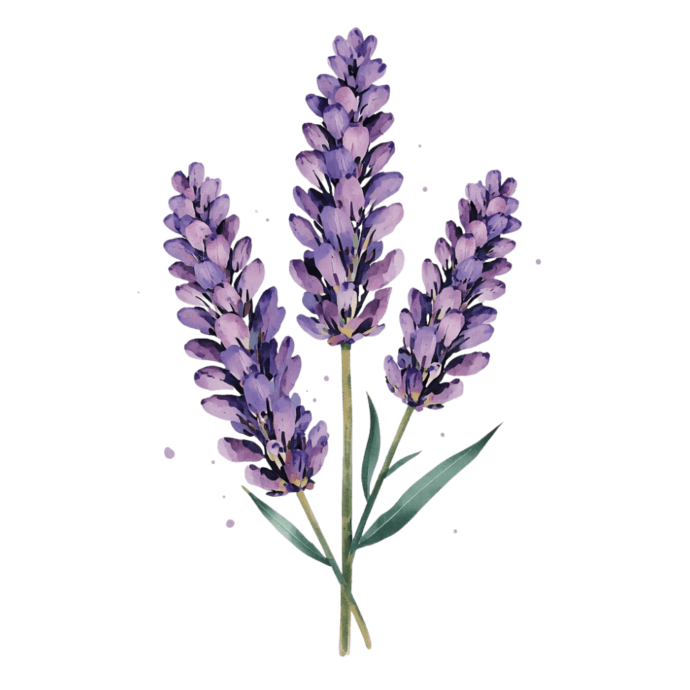 Watercolour lavender tattoo design