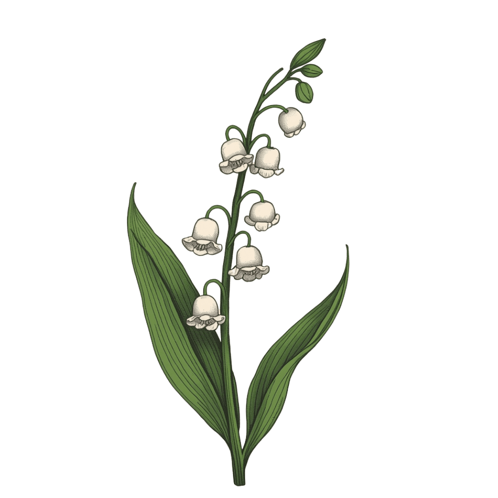 Lily of the valley sprig tattoo design