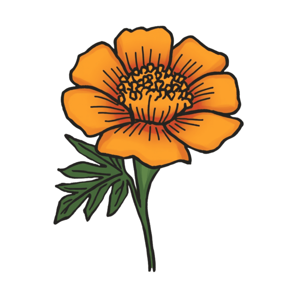 Single marigold tattoo design