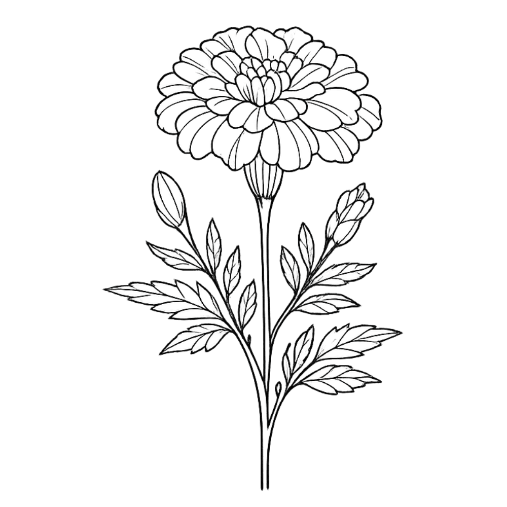 Fine-line marigold tattoo design