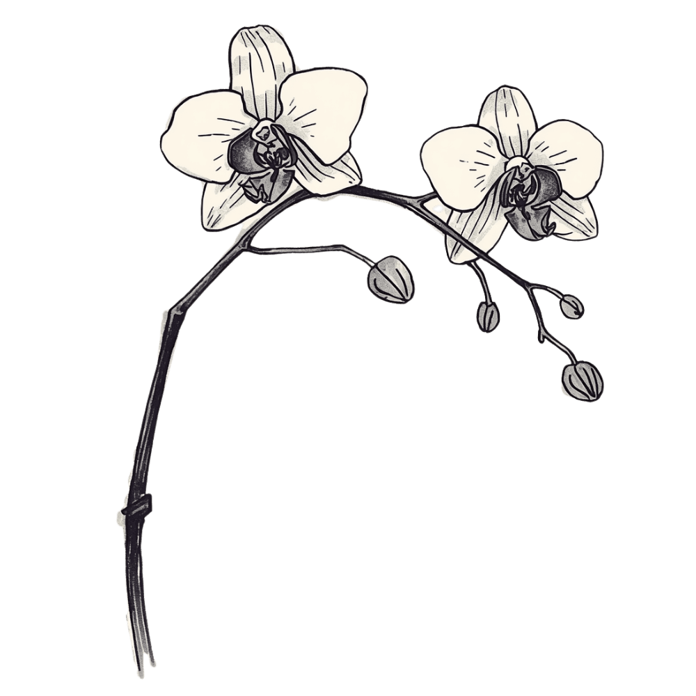 Single orchid stem tattoo design