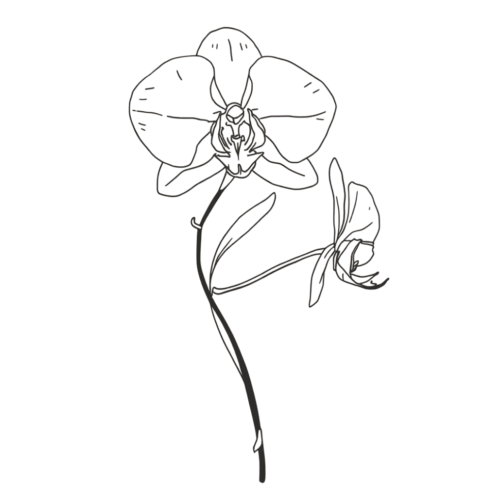 Fine-line orchid tattoo design