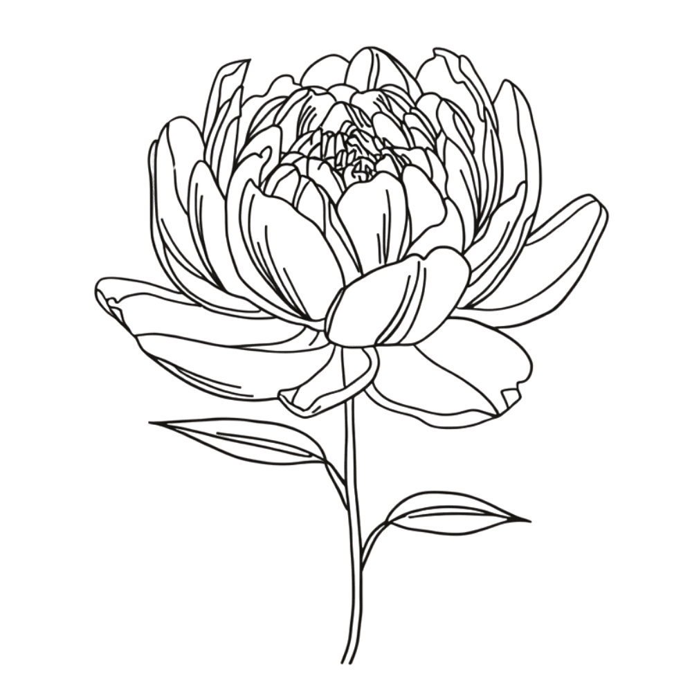Fine-line peony tattoo design