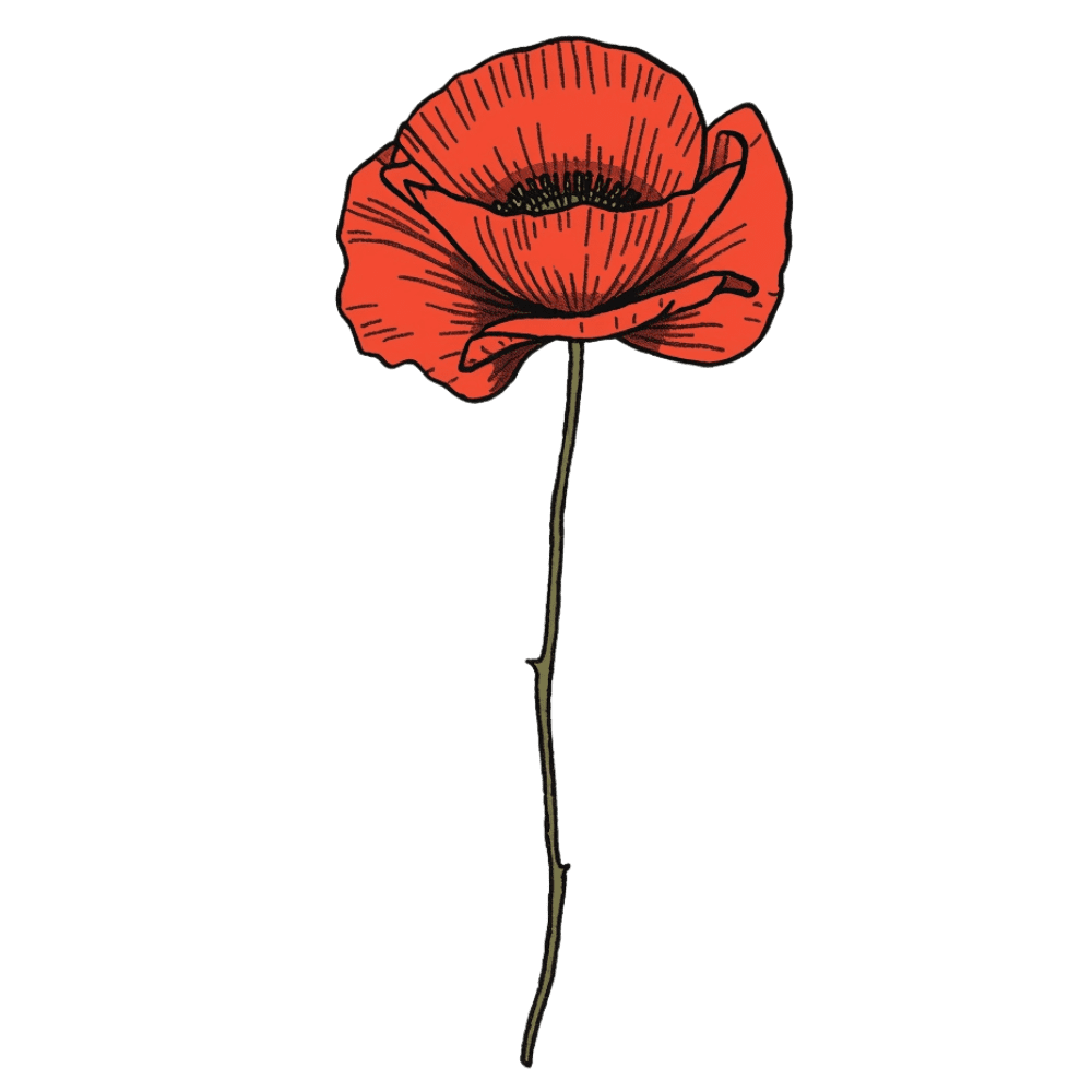 Single red poppy tattoo design